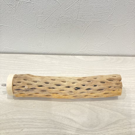 カクタスパーチ14  小　直径4cm前後 長さ20cm