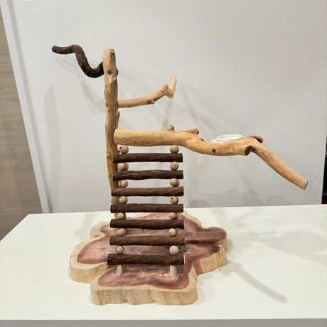 自然木（ツタ・貝塚伊吹）とハシゴのバードアスレチック【インコのおもちゃ・自然木のとまり木】