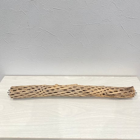 ケージサイズカクタスパーチ小② HOEI465 オカメ