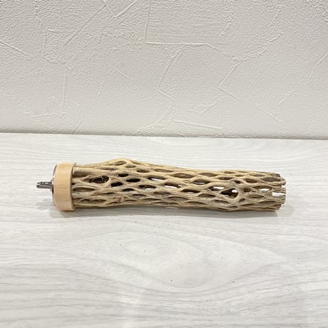 カクタスパーチ⑫ 極小直径約2-3cm/15cm