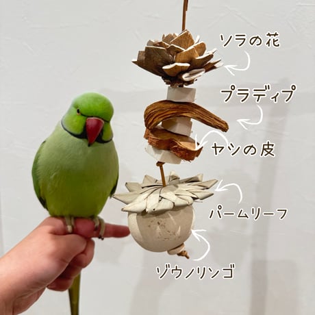天然素材100% ゾウノリンゴのフォレイジングトイシングル【インコのおもちゃ】
