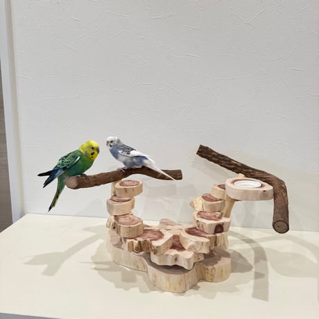 ツタと貝塚伊吹の螺旋階段アスレチック【インコのおもちゃ・自然木のとまり木】バードアスレチック