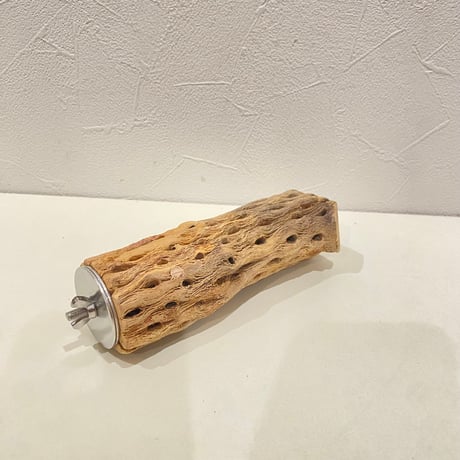 カクタスパーチ(G) 直径約4.5cm/長さ15cm