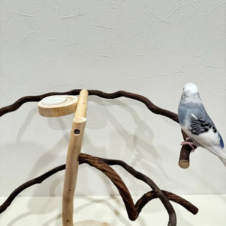 ツタのぐるぐるバード【インコのおもちゃ・自然木のとまり木】