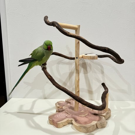 ツタのぐるぐるアスレチック【インコのおもちゃ・自然木のとまり木】