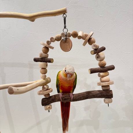 ツタとステンレスベルのパーチブランコ② 【インコ・小鳥のおもちゃ　自然木の止まり木】