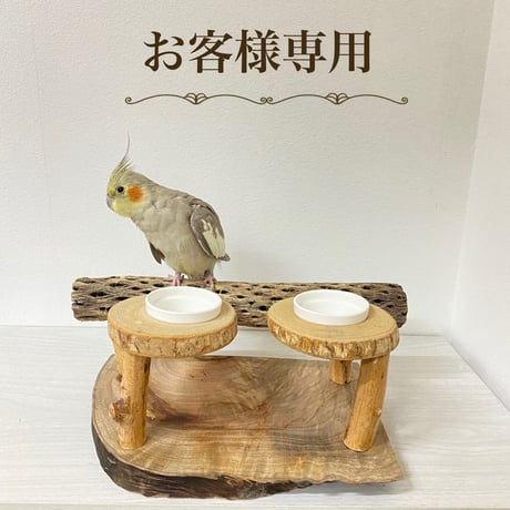【みずたん様専用】おやつ入れ付きカクタススタンドパーチ・おやつ入れつき丸太パーチ
