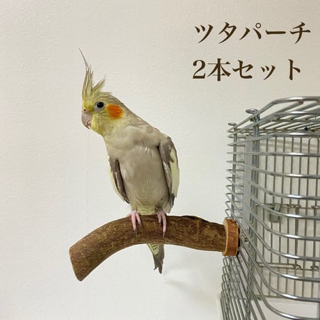 自然木（ツタ）のパーチ2本セット 直径2.5cm/3cm 長さ14cm/16cm⑭