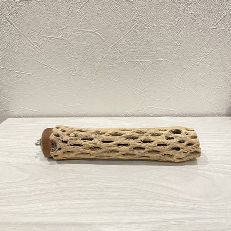 カクタスパーチ⑪  小 直径約4cm前後/17cm