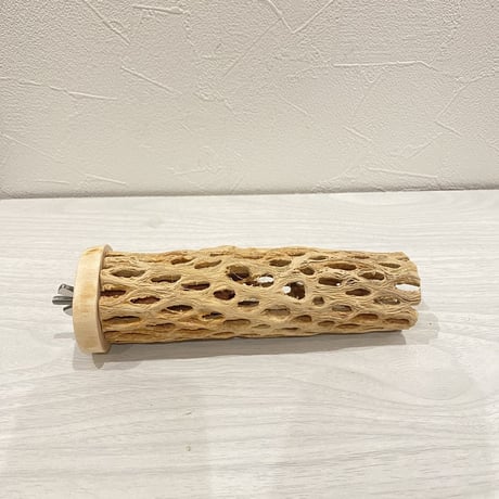 カクタスパーチ⑥  中 直径約5.5cm 長さ15cm