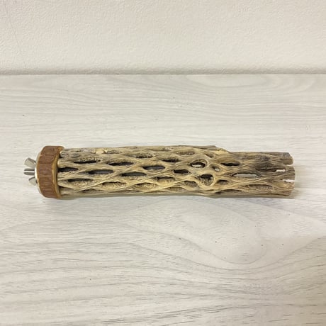 カクタスパーチ⑧ 極小サイズ 直径（約2-3cm）長さ/15cm