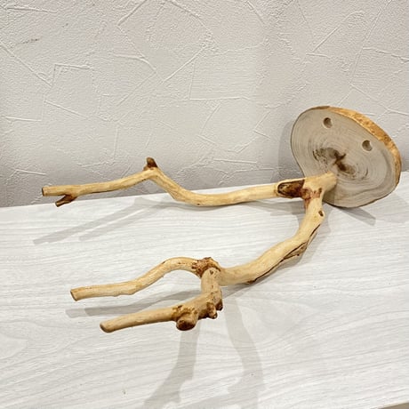 ピノキオの鼻④  貝塚伊吹