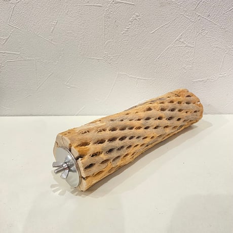 カクタスパーチ⑮ 直径約5cm/長さ20cm