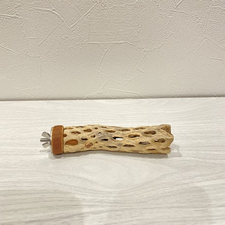 【haru様専用】カクタスパーチ 極小12cm