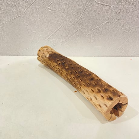 カクタスパーチ④ 直径約3.7cm/長さ20cm