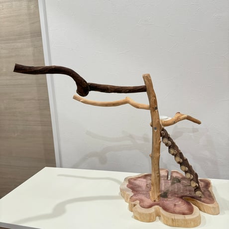 自然木（ツタ・貝塚伊吹）とハシゴのバードアスレチック【インコのおもちゃ・自然木のとまり木】
