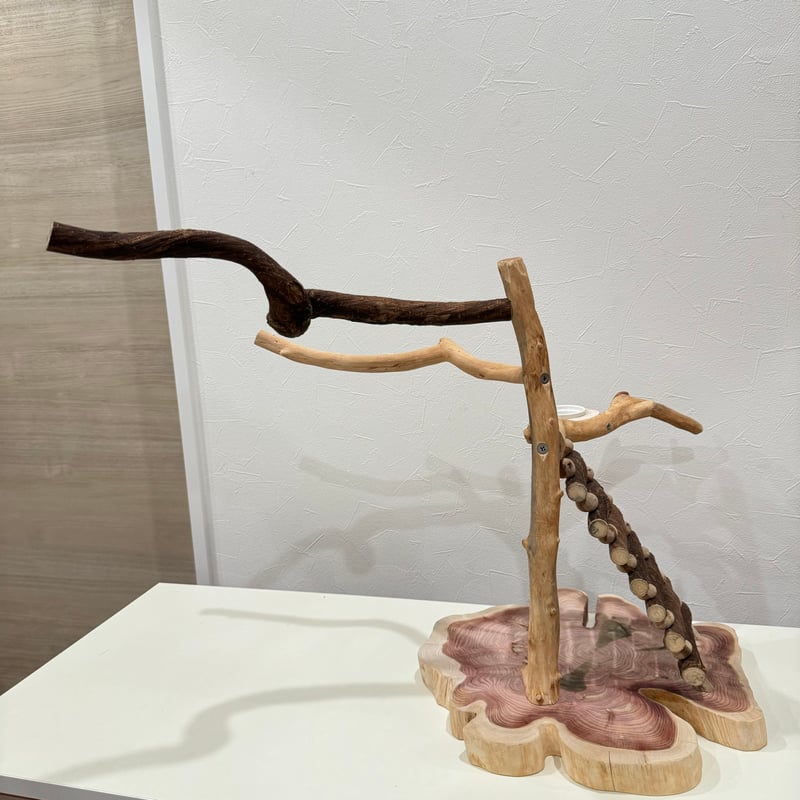 自然木（ツタ・貝塚伊吹）とハシゴのバードアスレチック【インコの