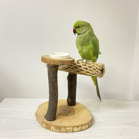 おやつ入れ付き カクタススタンドパーチ② 中型さん用