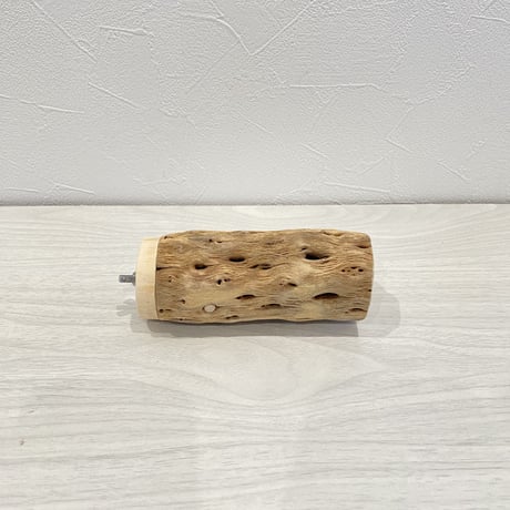 カクタスパーチ⑦ 中直径5.5cm 長さ11.5cm