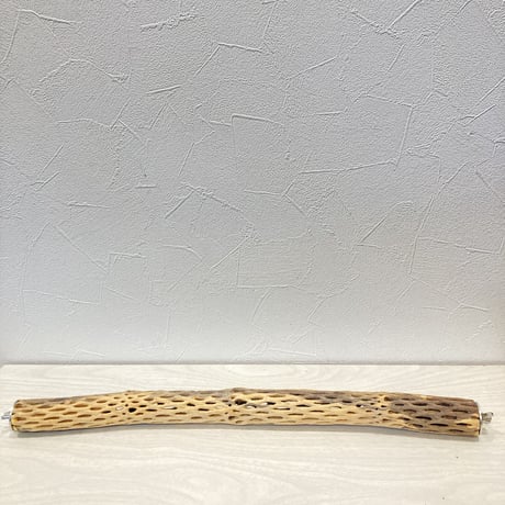 ケージサイズカクタスパーチ① 極小サイズ直径2~3cm HOEI465サイズ