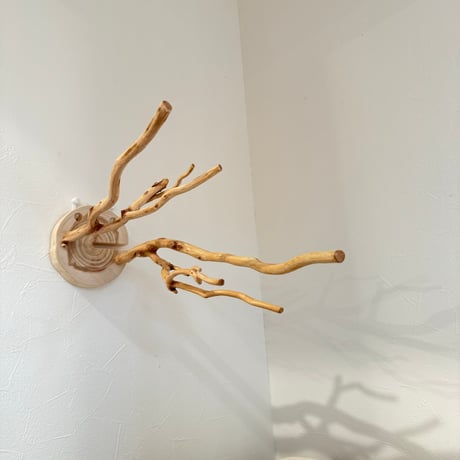 ピノキオの鼻 ④お鼻2本