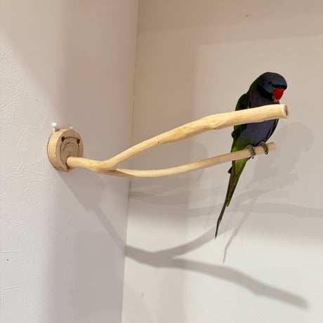 桧のピノキオの鼻 ①【インコ・小鳥のおもちゃ　自然木の止まり木】