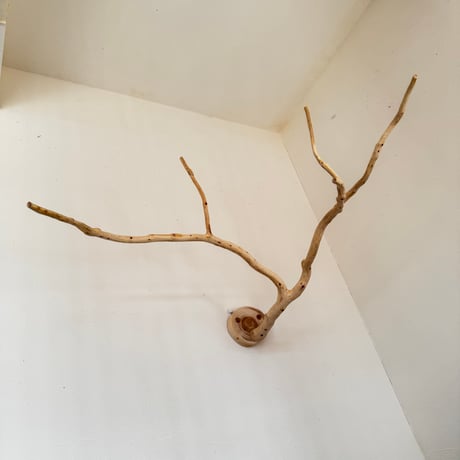【Ｔ様専用】カクタスのハイジのブランコ　貝塚伊吹のピノキオの鼻