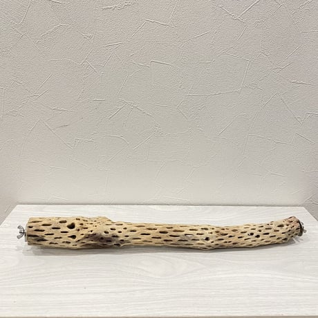 ケージサイズカクタスパーチ  小サイズ④（直径3-4cm）HOEI465