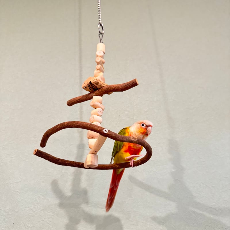 うめりんご♥️小鳥ちゃん♥️ゆらゆらハウス♥️インコ、文鳥etc 小鳥ちゃん❤ゆらゆらハーフハウス❤️ココア×ミルク❤️インコ