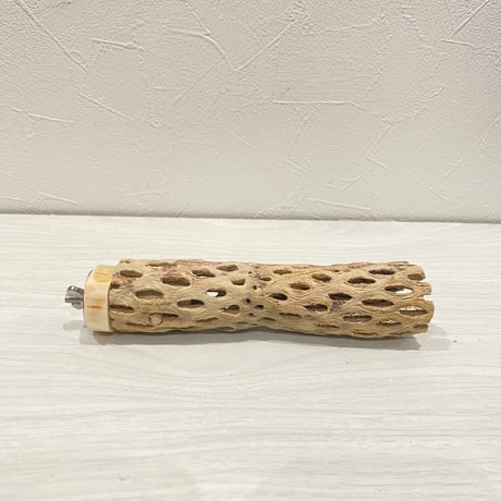 カクタスパーチ【12】 小直径3.5cm/15cm
