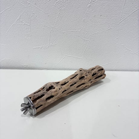 カクタスパーチ極小サイズ⑯ 直径約3cm/長さ15cm【自然木 止まり木 バンブルフット 趾瘤症 】