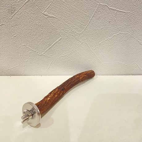 自然木（ツタ）パーチ 直径約1.6cm/長さ14cm
