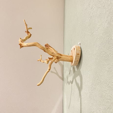 ピノキオの鼻 ②