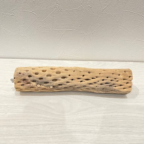 カクタスパーチ【e】中 直径約5.5cm/25cm