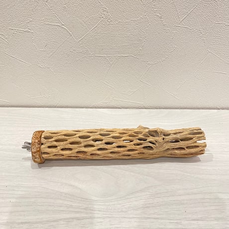 カクタスパーチ④  小 直径約4cm 長さ20cm