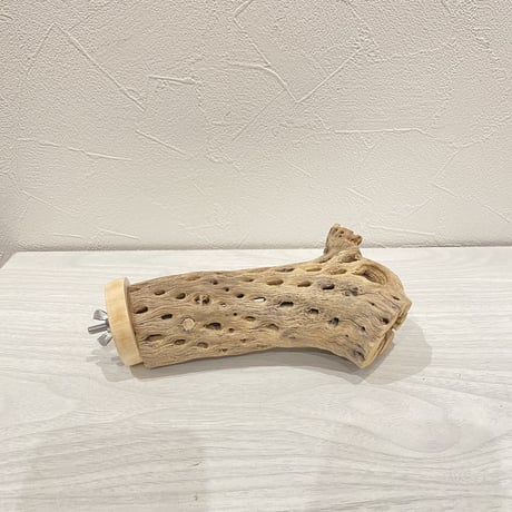 カクタスパーチ④  中 直径約5.5cm 長さ16cm