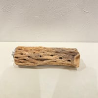カクタスパーチ(G) 直径約4.5cm/長さ15cm