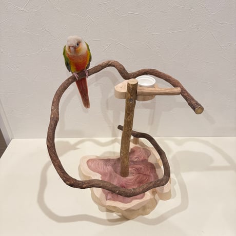 ☆バードアスレチックオーダー特大☆