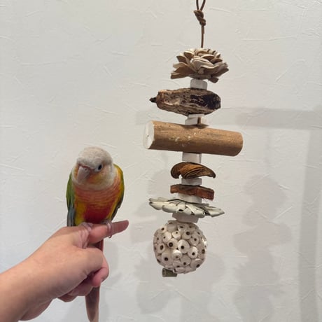 CATEGORY ガジガジ | 自然木の鳥用品 鳥豆堂【トリマメドウ】バード