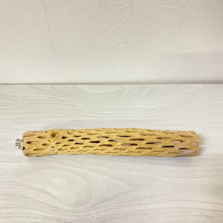 ハートフルサイズ カクタスパーチ② 小 直径3-4cm／長さ22cm
