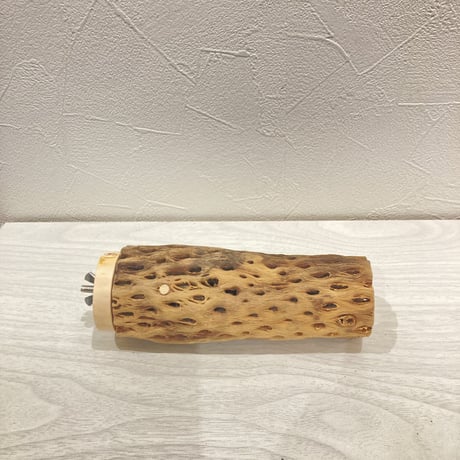 カクタスパーチ中直径約5cm 長さ15cm