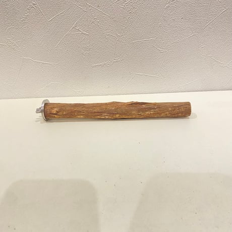 自然木（ツタ）パーチ⑥  直径約2.1cm/長さ20cm