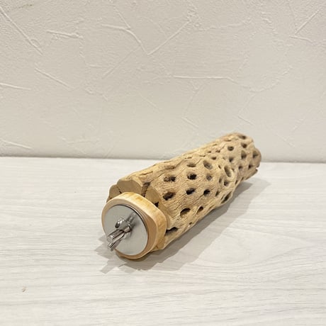 カクタスパーチ① 中サイズ直径5cm/17cm