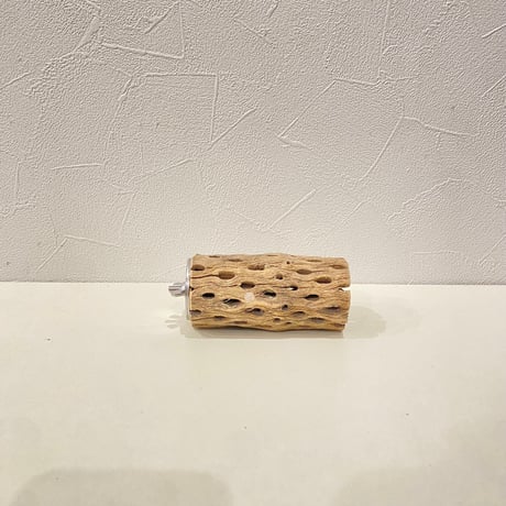 カクタスパーチ①  直径約5cm/長さ10cm