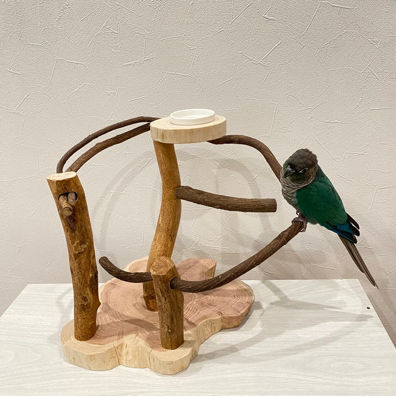 ツタのぐるぐるバードアスレチック③【インコのおもちゃ・自然木の