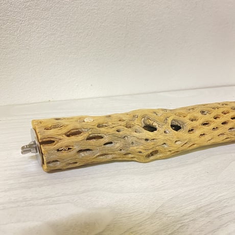 ケージサイズカクタスパーチ①  小直径3-4cm HOEI465サイズ
