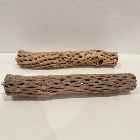 【sumi_haku様専用】カクタスパーチ 直径約5-5.5cm/長さ35cm【インコ 止まり木 バンブルフット予防】