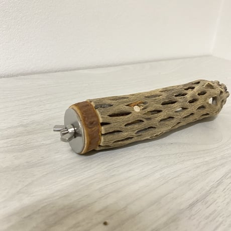 カクタスパーチ② 極小サイズ 直径（約2-3cm）長さ/14cm