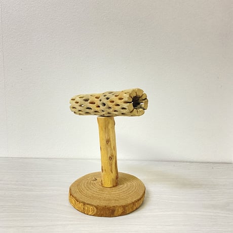 カクタスのスタンドパーチ⑤　パーチ長さ13.5cm／高さ14.5cm