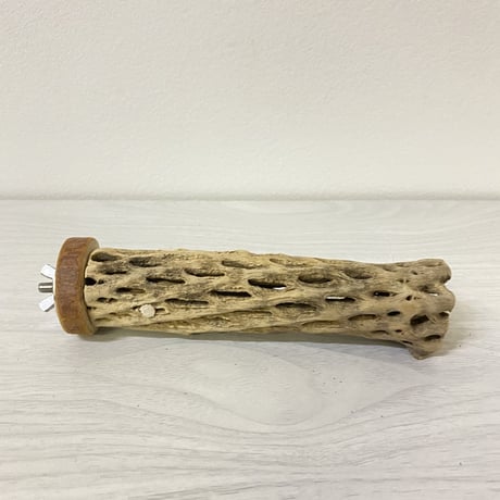 カクタスパーチ④小サイズ 直径（約3-4cm）長さ/15cm